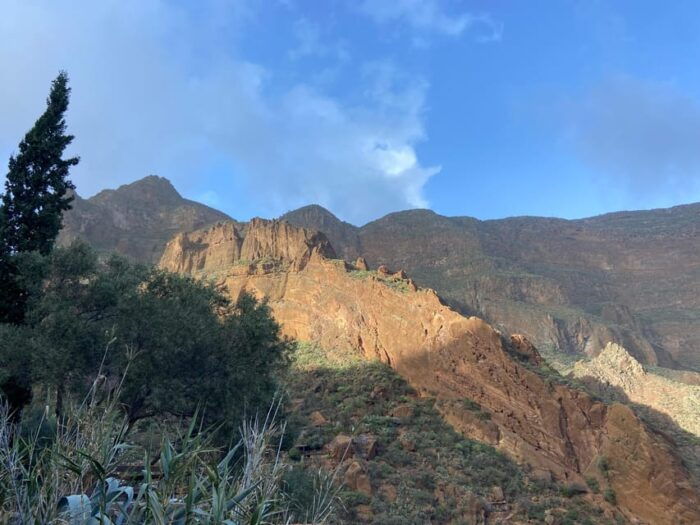 Gran Canaria LETS GET HIGH!: Altitude Wines and Tapas Lunch - Indulging in Traditional Tapas Lunch