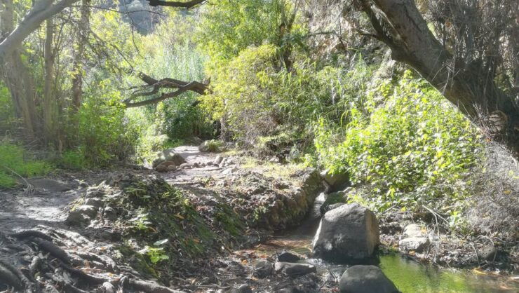 Gran Canaria: "Magic Waterfalls" Hiking Tour - Booking Details
