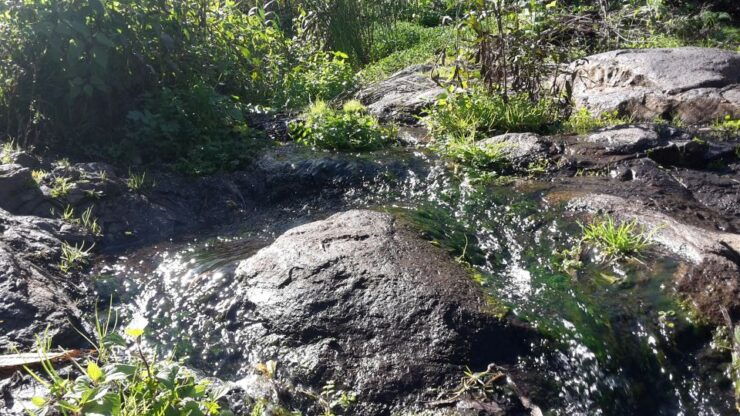 Gran Canaria: "Magic Waterfalls" Hiking Tour - Tour Experience