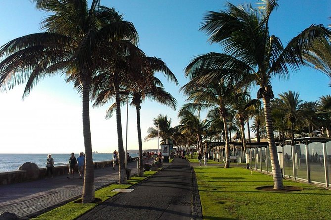 Gran Canaria Maspalomas Long-Term Bike Rental - Common Questions