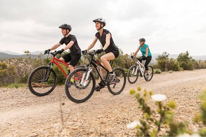 Gran Canaria Maspalomas Long-Term Bike Rental - The Sum Up