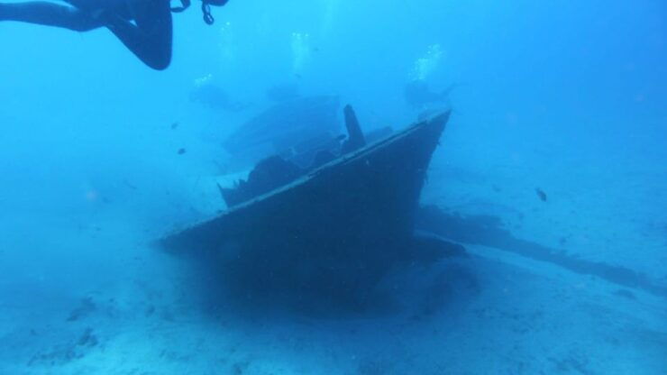 Gran Canaria: Morning Scuba Dive - Diving Experience