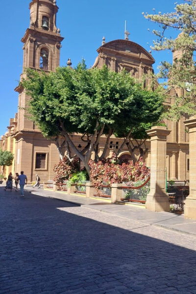GRAN Canaria: NORTH TOUR VIP With OPTIONAL LUNCH - Flexible Booking
