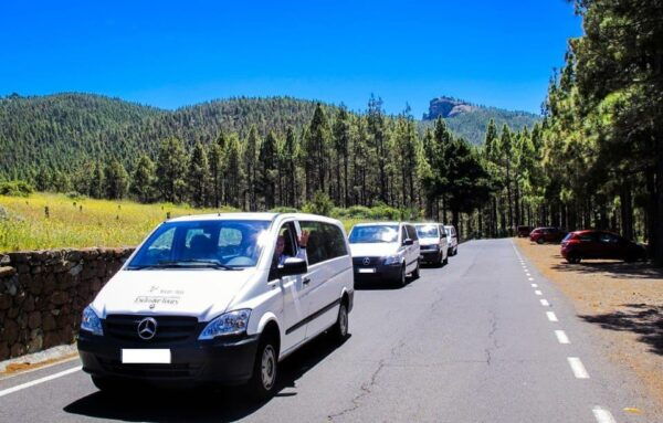 GRAN Canaria: NORTH TOUR VIP With OPTIONAL LUNCH - Accommodation Pickup and Drop-off