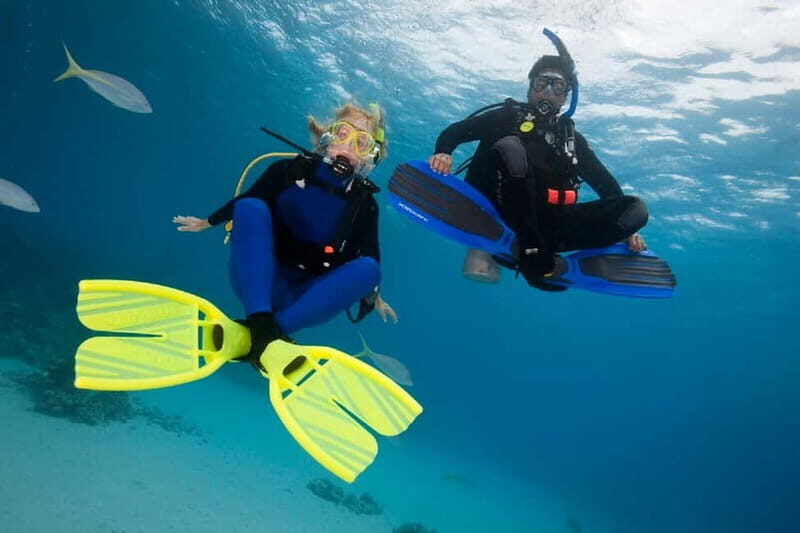 Gran Canaria: PADI Open Water Diver Course - Good To Know