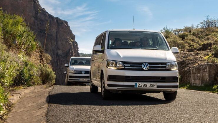 Gran Canaria: Panorama Tour - Experience Highlights