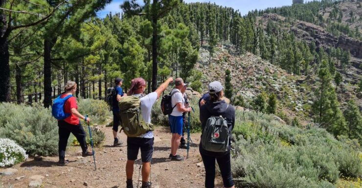 Gran Canaria: "Peaks of Gran Canaria" Hiking Tour - Free Cancellation and Flexible Booking Options