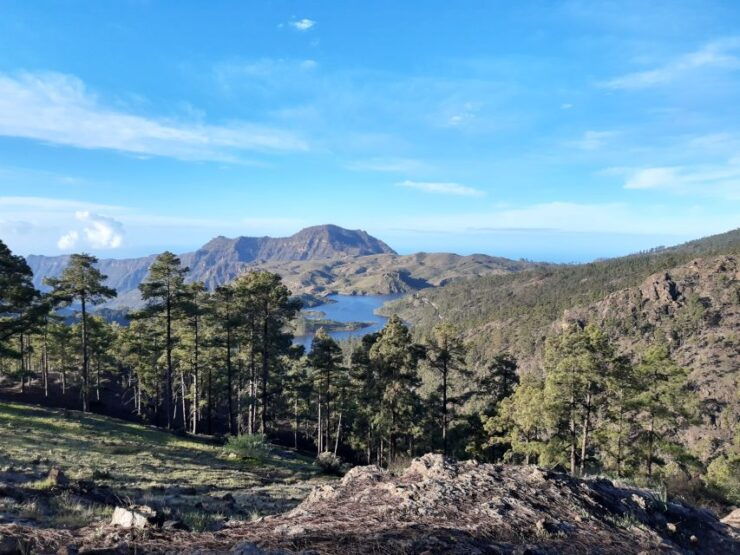 Gran Canaria: "Peaks of Gran Canaria" Hiking Tour - Duration, Languages, and Pickup Details