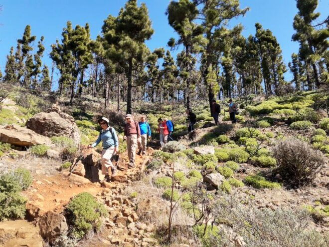 Gran Canaria: "Peaks of Gran Canaria" Hiking Tour - Positive Reviews and Customer Satisfaction