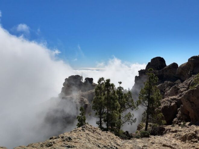 Gran Canaria: "Peaks of Gran Canaria" Hiking Tour - Additional Reviews and Recommendations