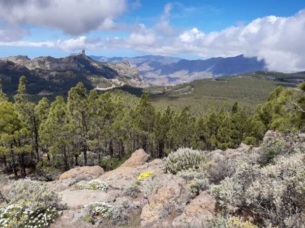 Gran Canaria: "Peaks of Gran Canaria" Hiking Tour - The Sum Up