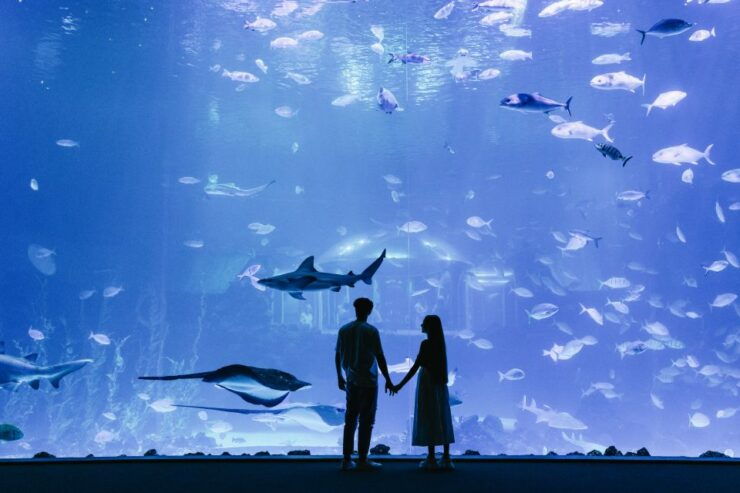 Gran Canaria: Poema Del Mar Skip-The-Line Ticket - Ticket Details