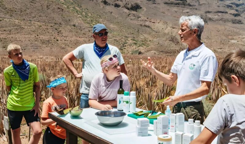 Gran Canaria: Premium Safari 4x4 Tour with Local Guide - Practical Tips for Your Safari Adventure