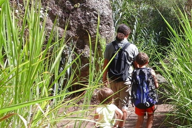 Gran Canaria Private Walks - Tour Details