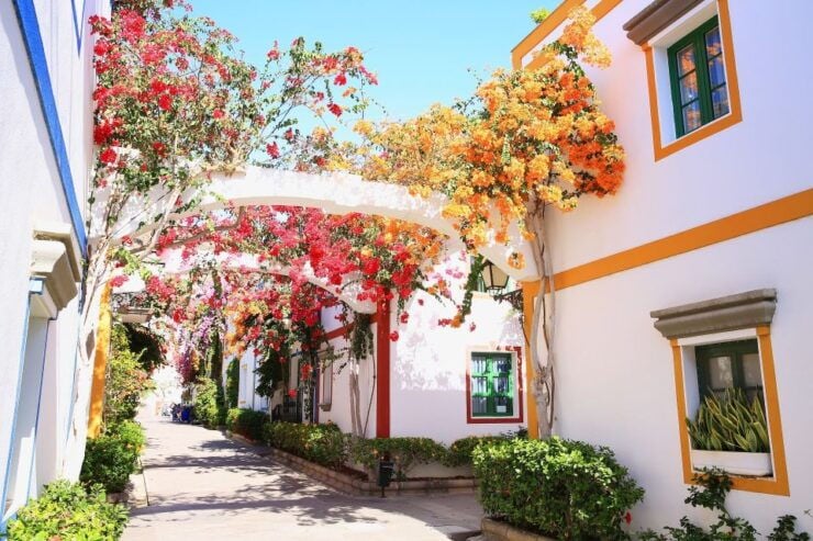 Gran Canaria - Puerto De Mogán & Market (Optional Boat Ride) - Activity Highlights