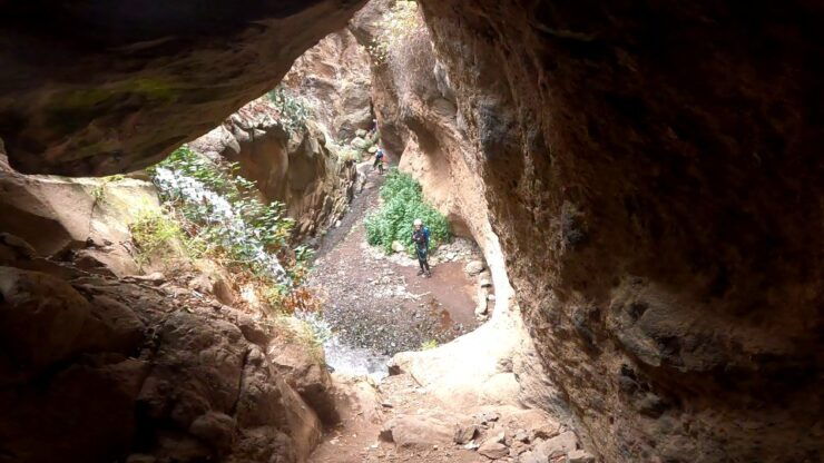 Gran Canaria: Rainforest Canyoning Tour With Gear and Snack - Tour Location and Price
