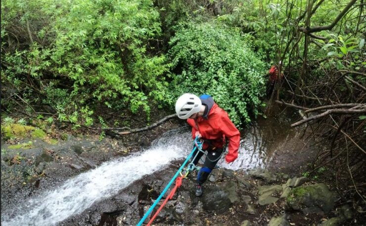 Gran Canaria: Rainforest Canyoning Tour With Gear and Snack - Duration, Group Size, and Highlights
