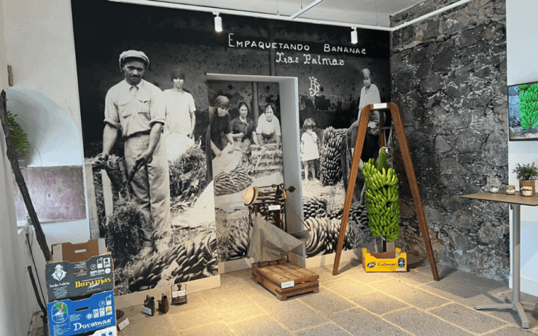 Gran Canaria: Rum, Wines and Banana Tour - Banana Museum Exploration