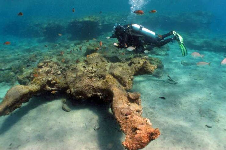 Gran Canaria Scuba Diving: 1-Day 2-Dive Package - Good To Know