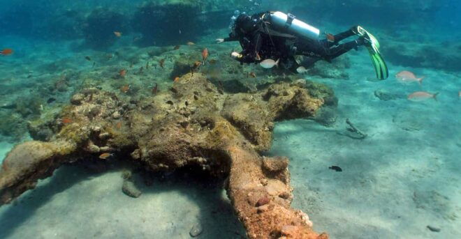 Gran Canaria Scuba Diving: 1-Day 2-Dive Package - Diving Experience