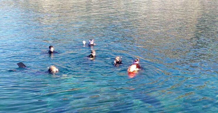 Gran Canaria: Snorkeling Trip - Activity Details