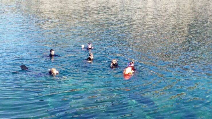 Gran Canaria: Snorkeling Trip - Experience Highlights