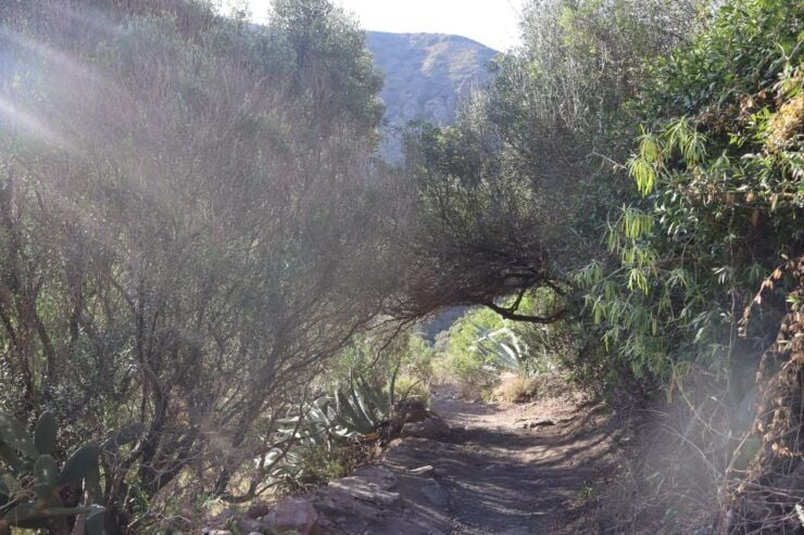 GRAN CANARIA (SPAIN): Hiking & Yoga in Bandama - Pricing and Duration Details