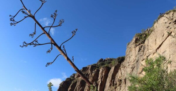 GRAN CANARIA (SPAIN): Hiking & Yoga in Bandama - Meeting Point and Statistics