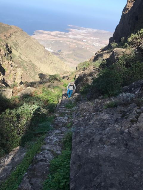 GRAN CANARIA (SPAIN): Hiking & Yoga in Tamadaba - Activity Details