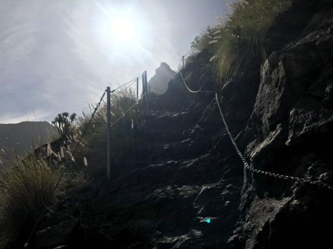 GRAN CANARIA (SPAIN): Hiking & Yoga in Tamadaba - The Sum Up