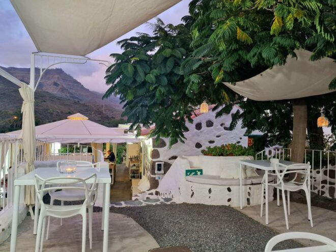 Gran Canaria: Spanish Tapas and Wine Tasting Tour in Mogan - Accessibility and Group Type Information