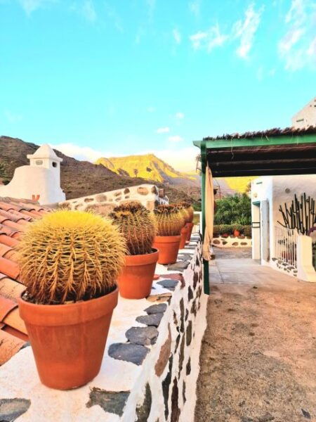 Gran Canaria: Spanish Tapas and Wine Tasting Tour in Mogan - Meeting Point and Directions