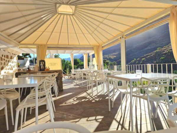Gran Canaria: Spanish Tapas and Wine Tasting Tour in Mogan - Additional Information and Considerations