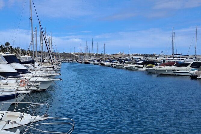 Gran Canaria Sunset Dolphin Watching Activity - Possible Drawbacks or Considerations