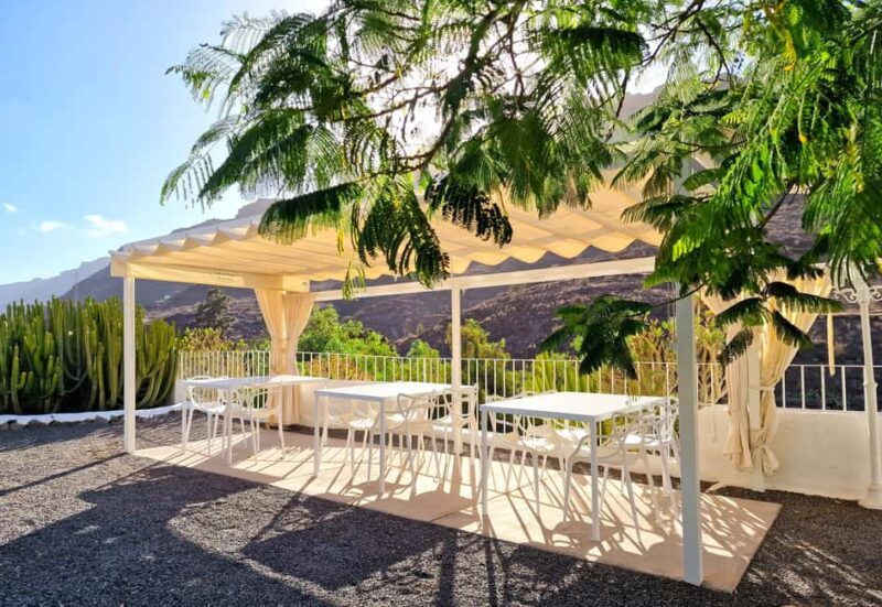 Gran Canaria: Tasting wine & local cheese in Mogan - The Sum Up: A Tasty, Authentic Slice of Gran Canaria