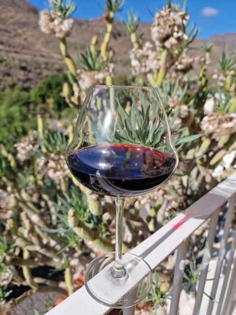Gran Canaria: Tasting Wine & Local Cheese - Restrictions