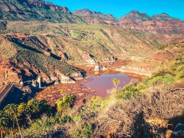 Gran Canaria: the Red Canyon Tour With Local Food Tasting - Local Food Tasting