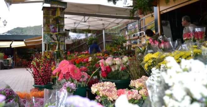 GRAN CANARIA: TRADITIONAL MARKETS TOUR - Market Experience