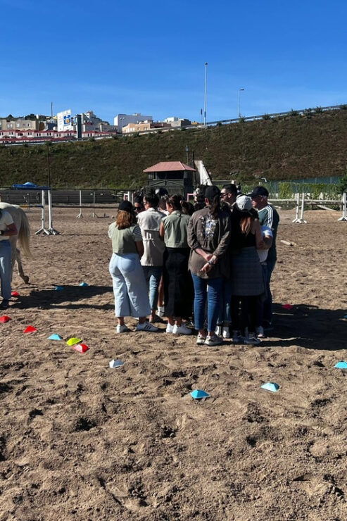 Gran Canaria: Transformative Experience With Horses: Connect and Enjoy - Good To Know