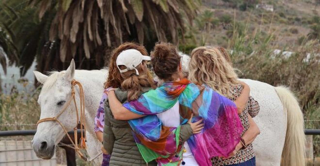 Gran Canaria: Transformative Experience With Horses: Connect and Enjoy - Herd Interaction and Exploration
