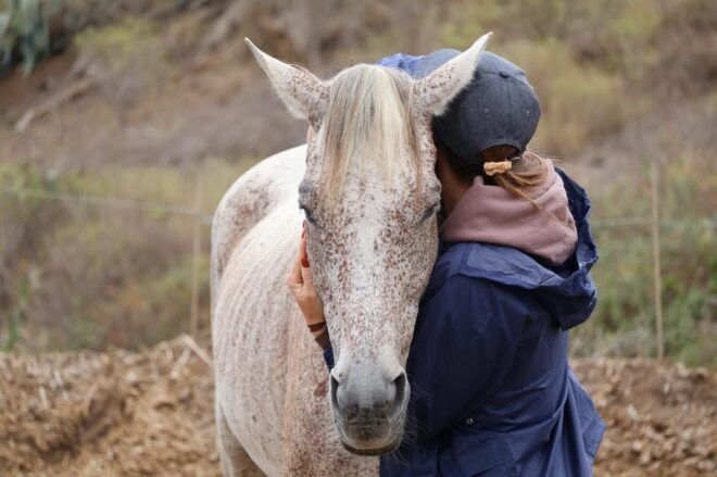 Gran Canaria: Transformative Experience With Horses: Connect and Enjoy - Booking and Availability