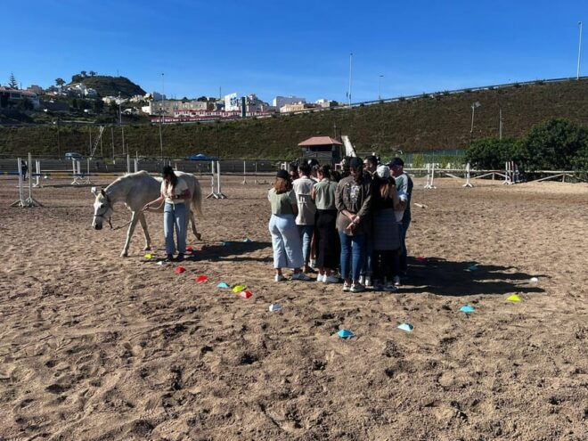 Gran Canaria: Transformative Experience With Horses: Connect and Enjoy - Frequently Asked Questions