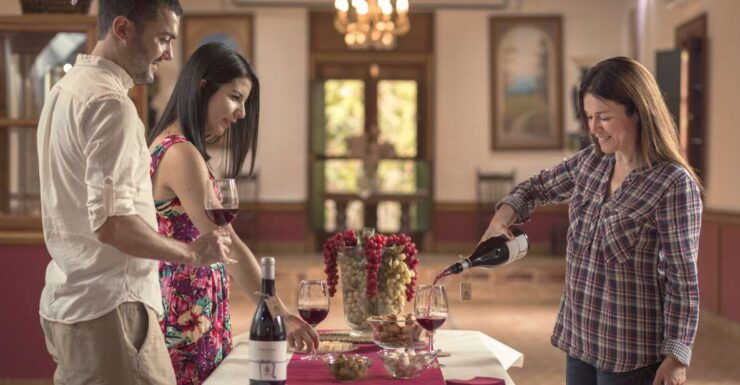 Gran Canaria: Winery Tour, Wine Museum, and Tasting - Experience at the Winery