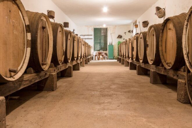 Gran Canaria: Winery Tour, Wine Museum, and Tasting - Common Questions