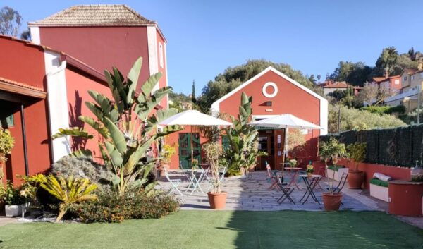 Gran Canaria: Winery Tour, Wine Museum, and Tasting - The Sum Up