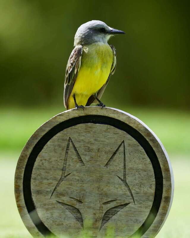 Gran Coyote Golf Course - Frequently Asked Questions