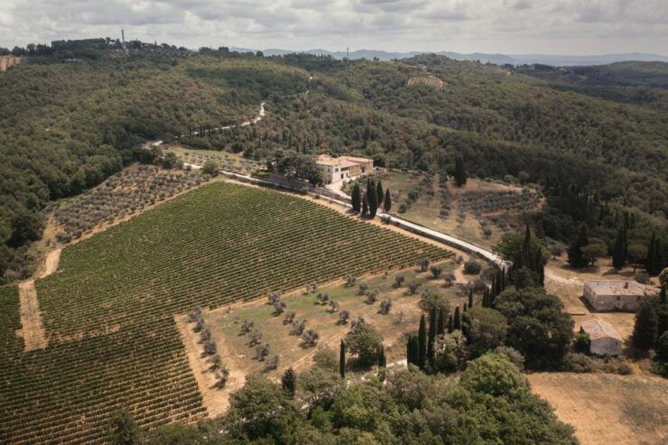 Gran Cru Wines Tasting - Mocenni Estate - Good To Know