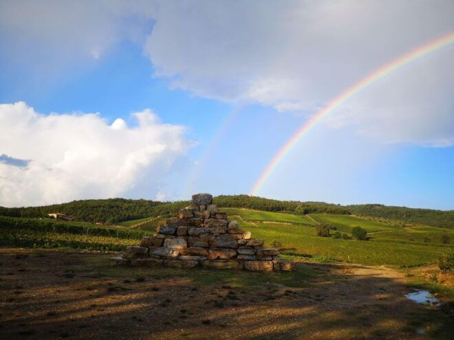 Gran Cru Wines Tasting - Mocenni Estate - Wine Tasting Inclusions