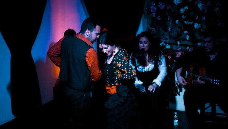 Granada 1-Hour Authentic Flamenco Show - Experience Details