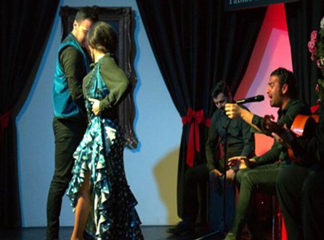 Granada 1-Hour Authentic Flamenco Show - Inclusions